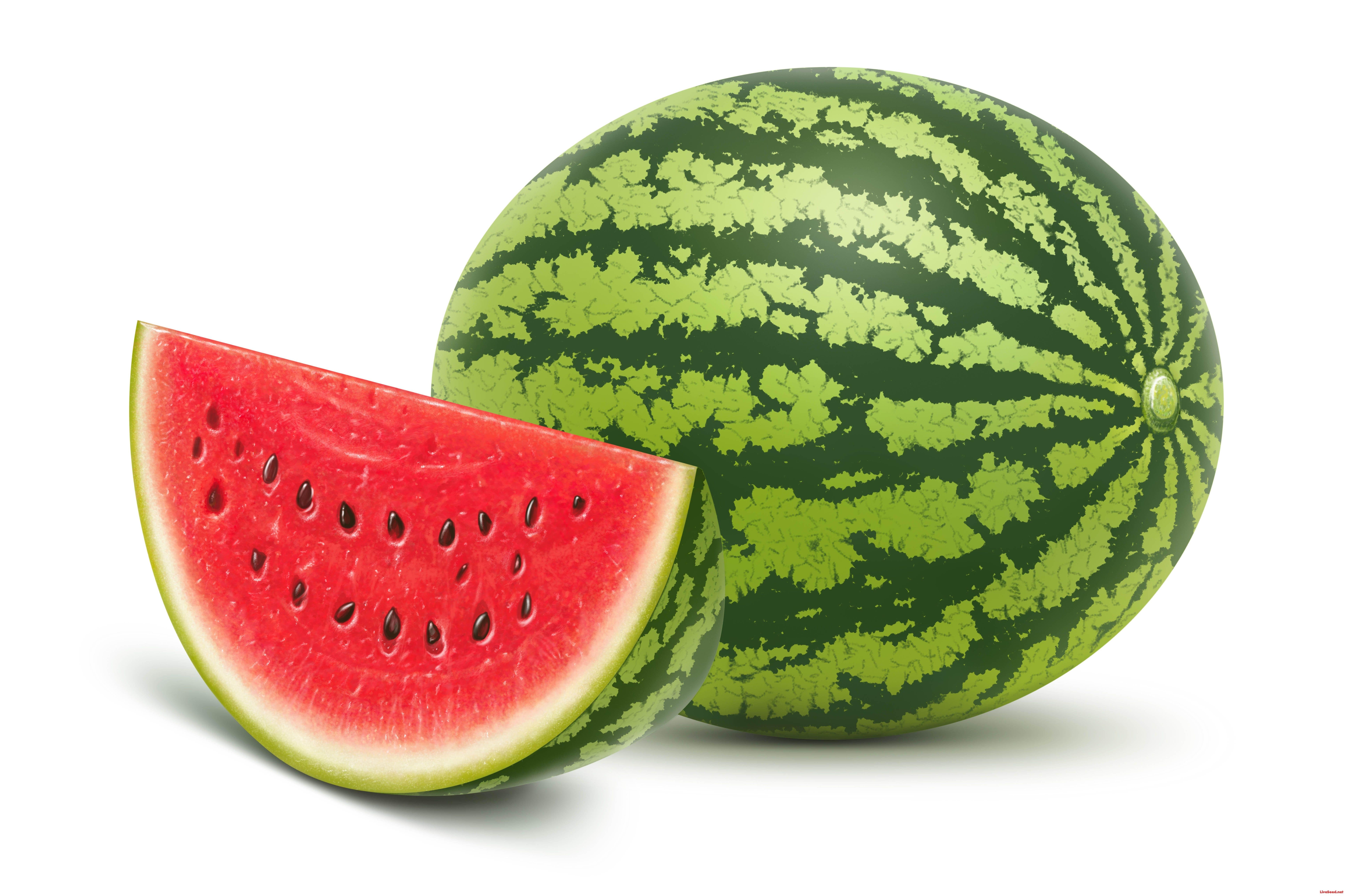Green Watermelon